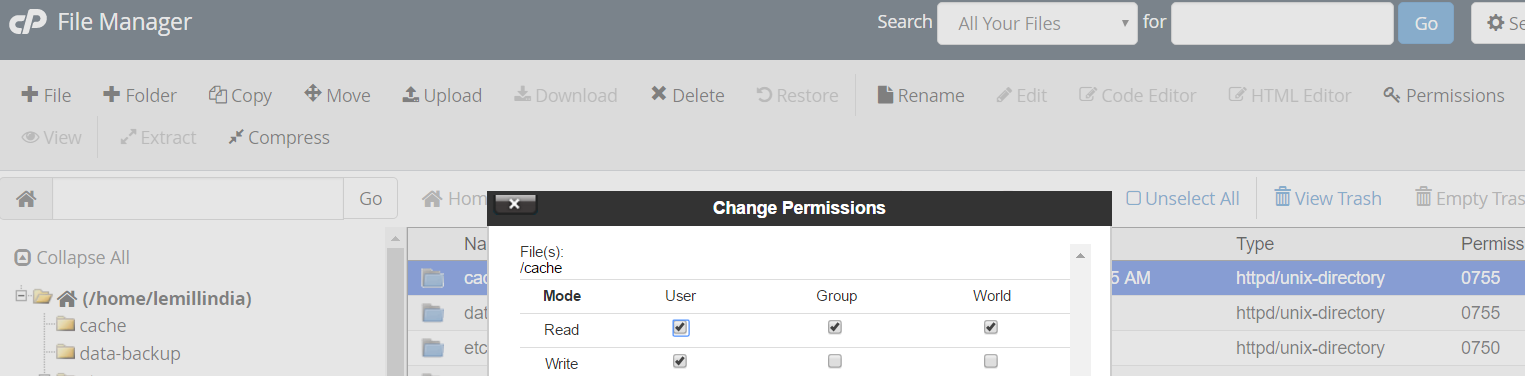 CPanel File manager Permissions